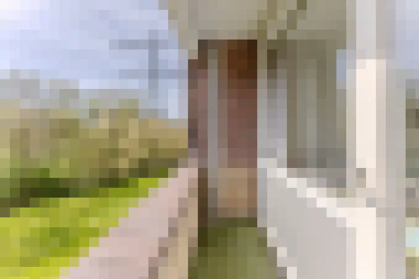 Fluitekruidweg 222 Zaandam thumbnail 21