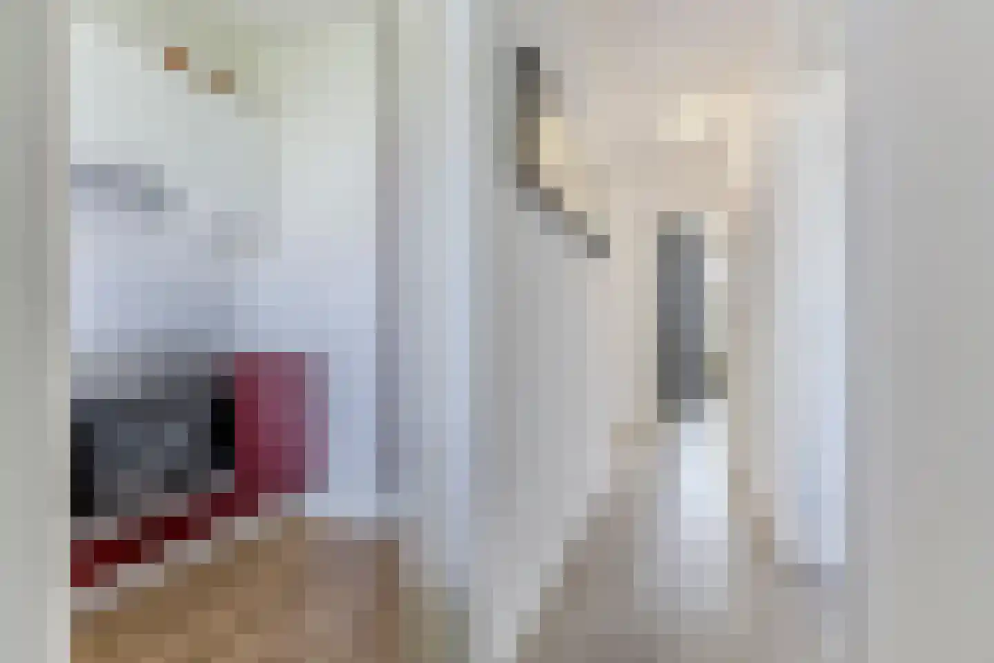Fluitekruidweg 222 Zaandam thumbnail 9