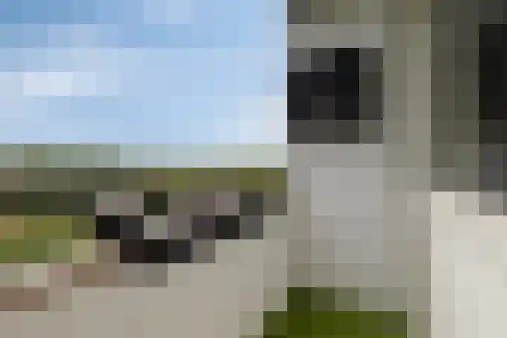 Fluitekruidweg 231 Zaandam thumbnail 21