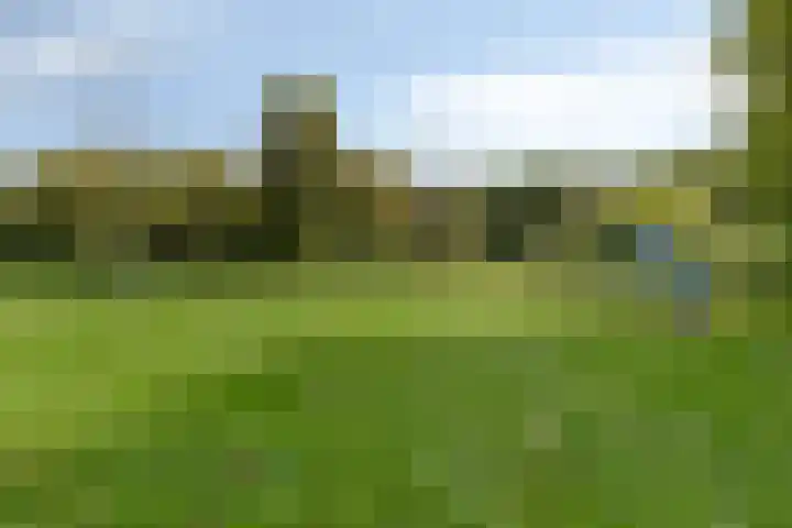 Fluitekruidweg 231 Zaandam thumbnail 26