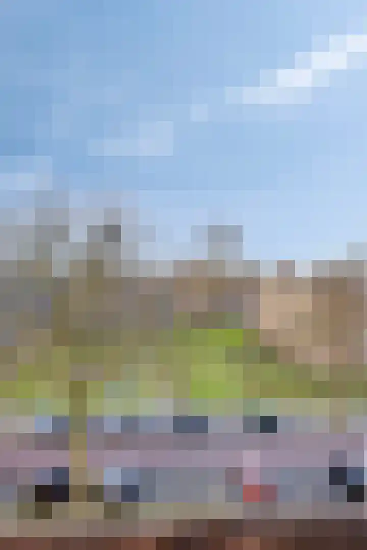 Fluitekruidweg 239 Zaandam thumbnail 34