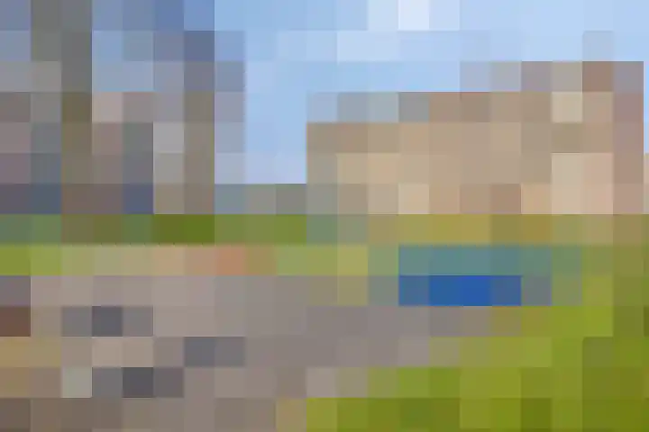 Fluitekruidweg 239 Zaandam thumbnail 36