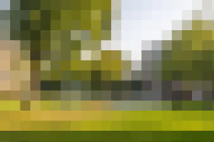 Fluitekruidweg 248 Zaandam thumbnail 30