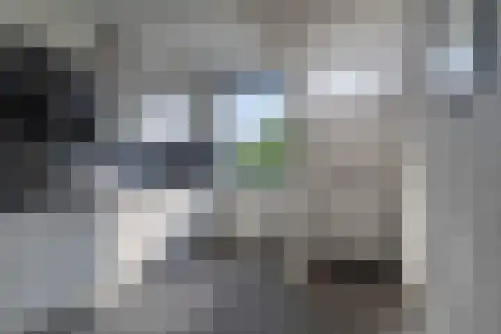Fluitekruidweg 248 Zaandam thumbnail 7