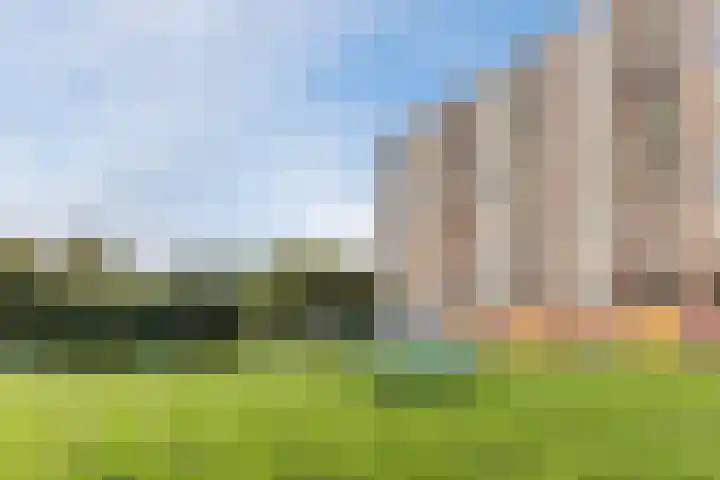 Fluitekruidweg 265 Zaandam thumbnail 19