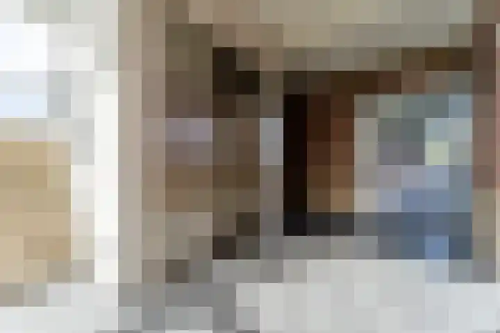 Fluitekruidweg 265 Zaandam thumbnail 7