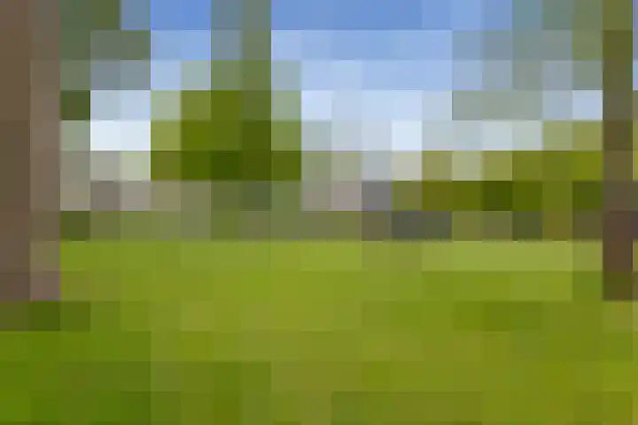Fluitekruidweg 51 Zaandam thumbnail 26