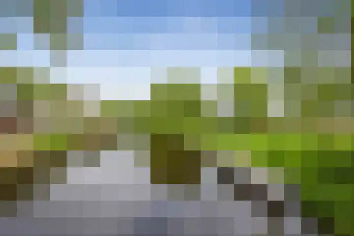 Fluitekruidweg 51 Zaandam thumbnail 27