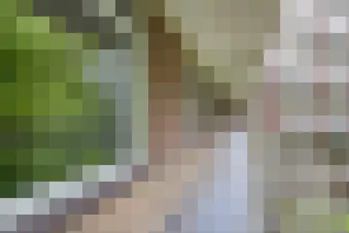 Fluitekruidweg 51 Zaandam thumbnail 7