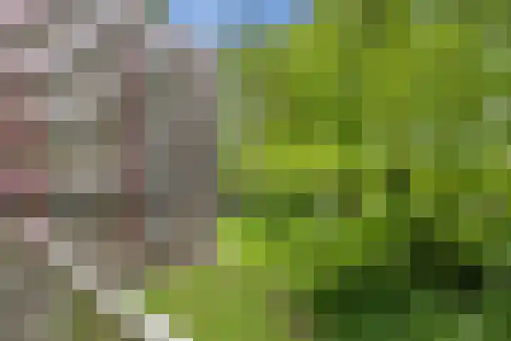 Fluitekruidweg 51 Zaandam thumbnail 8