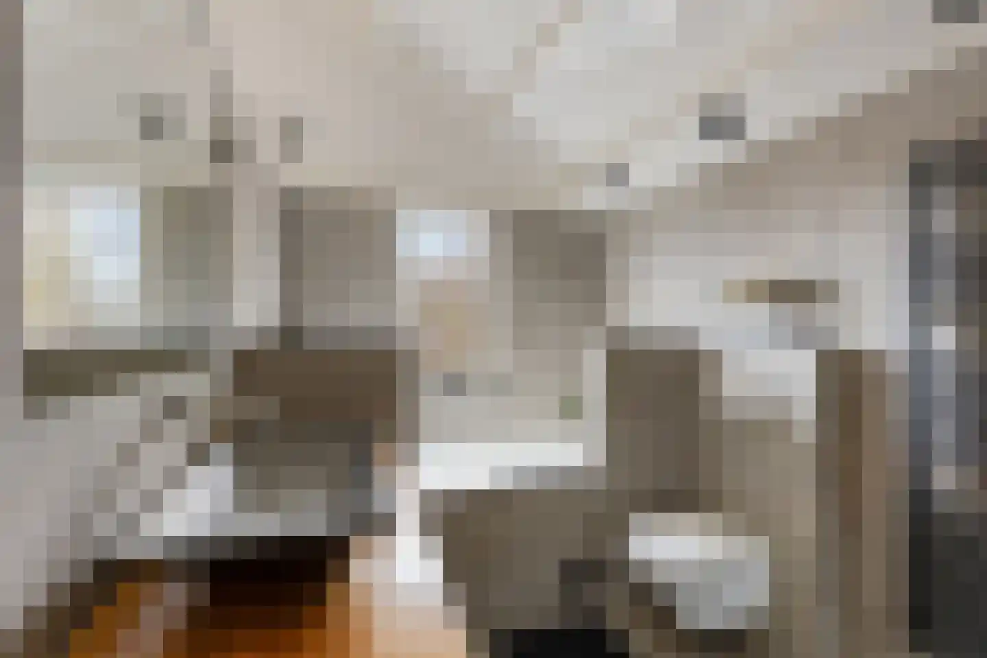 Fluitekruidweg 6 Zaandam thumbnail 33