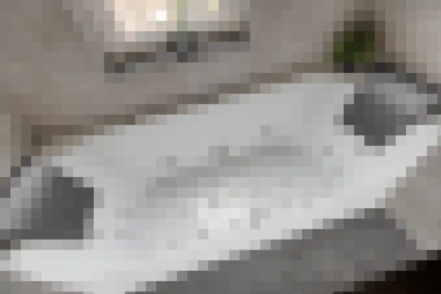 Fluitekruidweg 6 Zaandam thumbnail 35