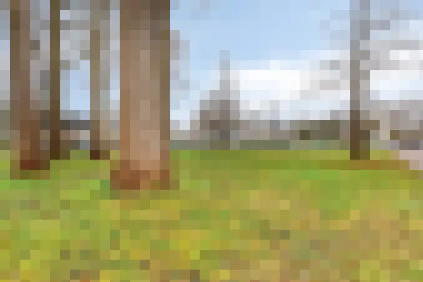 Fluitekruidweg 6 Zaandam thumbnail 46