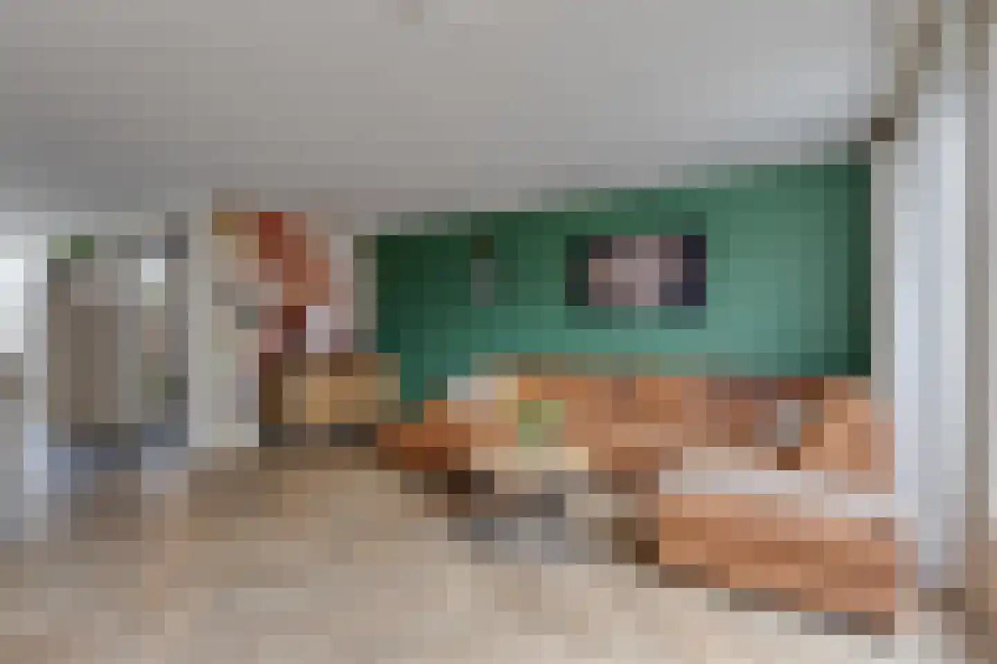 Fluitekruidweg 6 Zaandam thumbnail 9