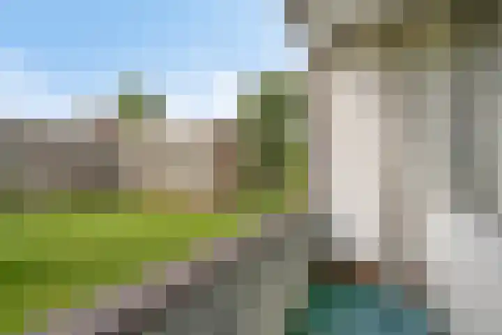 Fluitekruidweg 62 Zaandam thumbnail 4