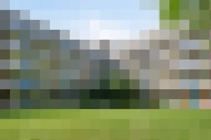 Fluitekruidweg 62 Zaandam thumbnail 5