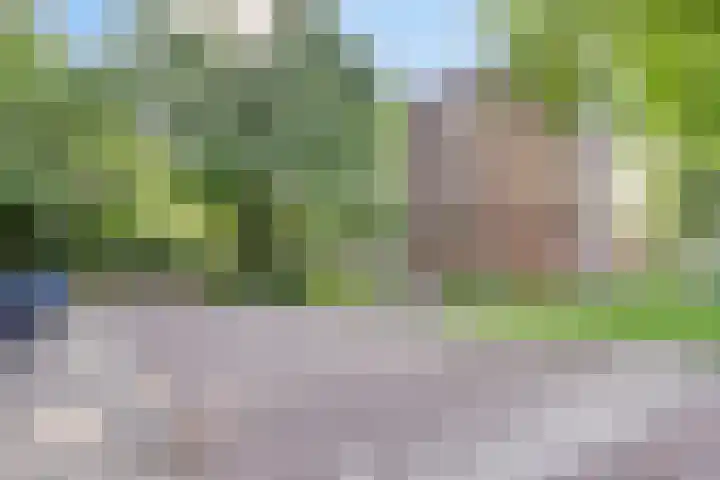 Fluitekruidweg 62 Zaandam thumbnail 7