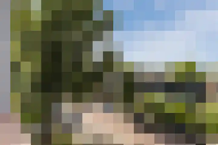 Fluitekruidweg 68 Zaandam thumbnail 26