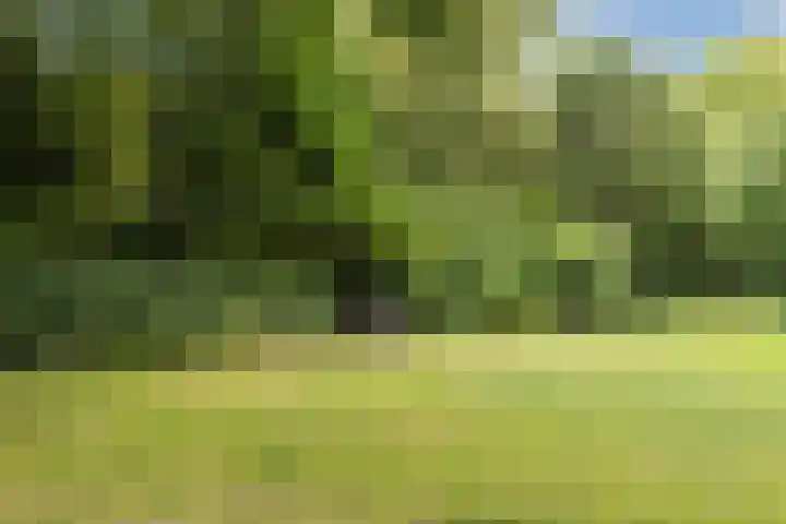 Fluitekruidweg 68 Zaandam thumbnail 28
