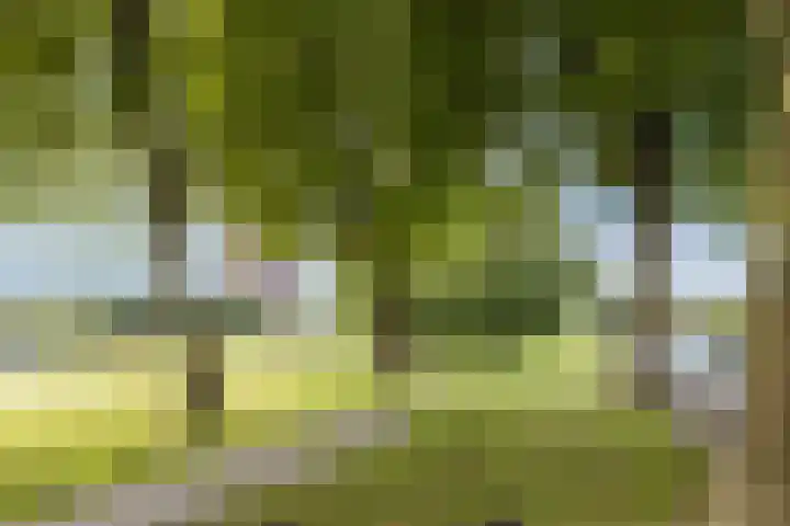 Fluitekruidweg 68 Zaandam thumbnail 30