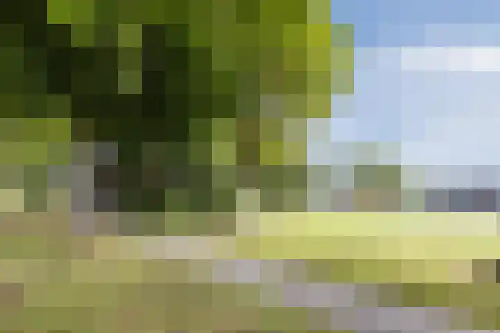 Fluitekruidweg 68 Zaandam thumbnail 31