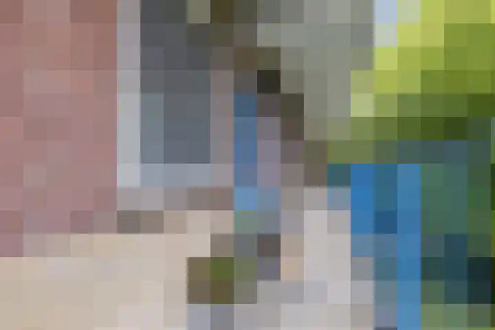 Fluitekruidweg 68 Zaandam thumbnail 8