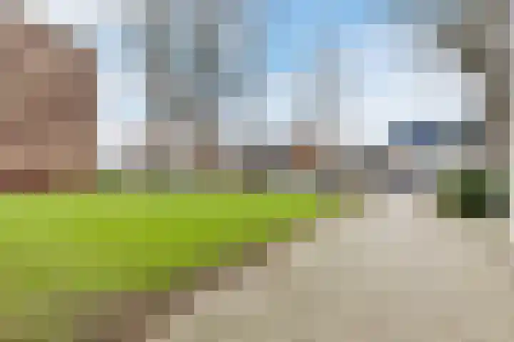 Fluitekruidweg 70 Zaandam thumbnail 31