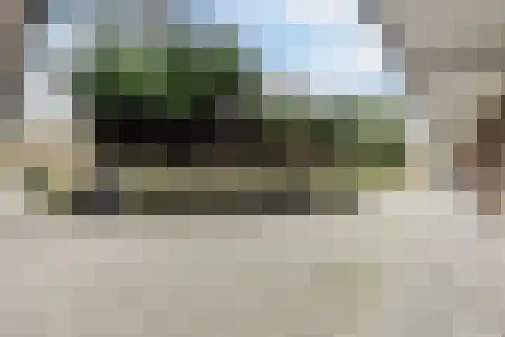 Fluitekruidweg 70 Zaandam thumbnail 32