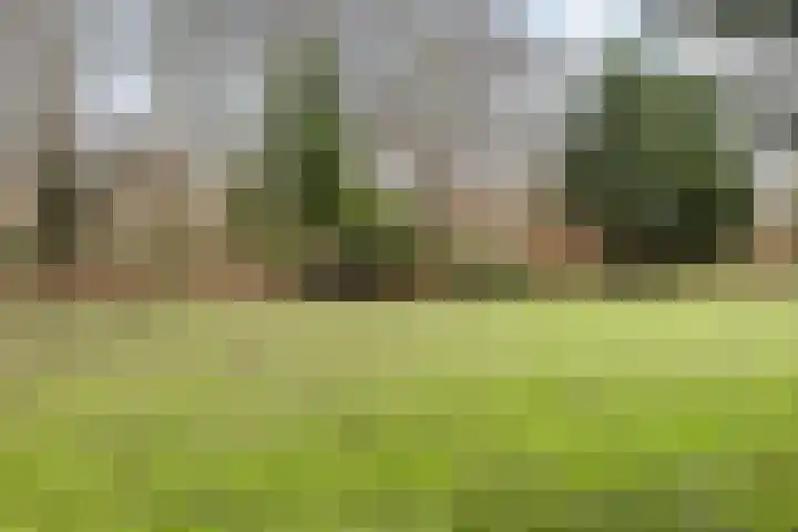 Fluitekruidweg 70 Zaandam thumbnail 33