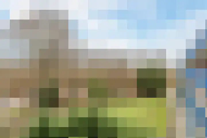 Fluitekruidweg 70 Zaandam thumbnail 6
