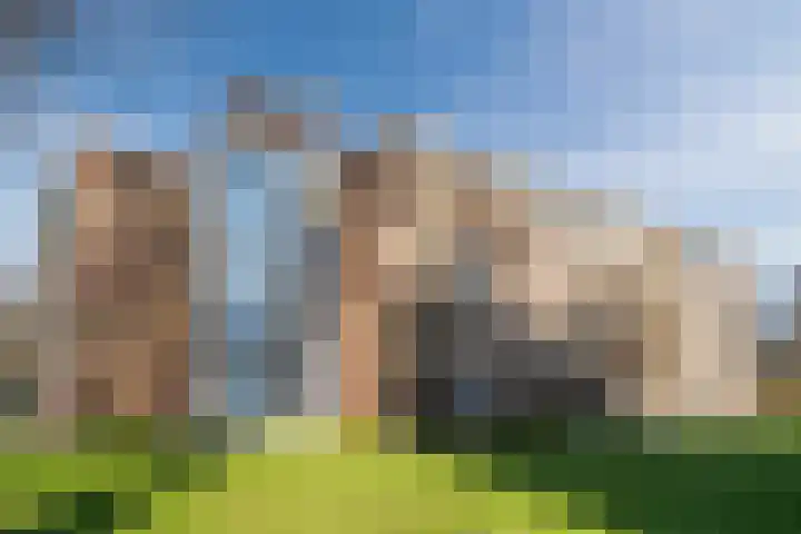 Fluitekruidweg 76 Zaandam thumbnail 5