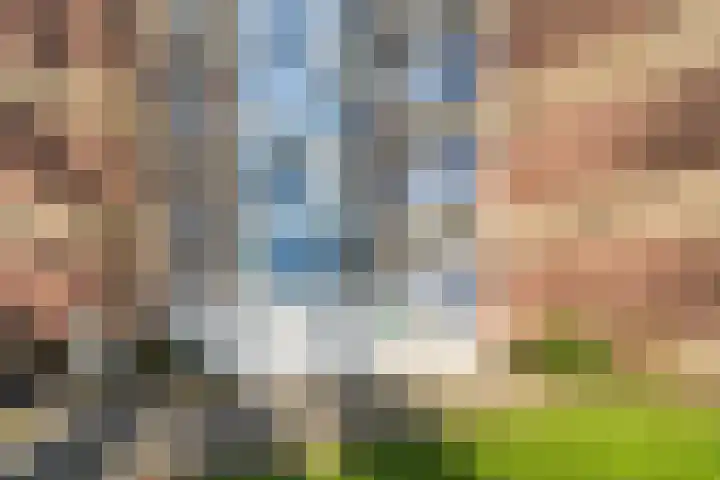 Fluitekruidweg 76 Zaandam thumbnail 6