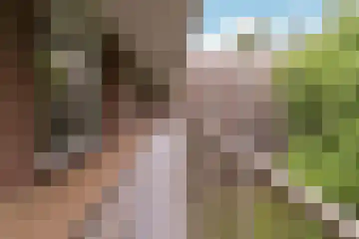 Fluitekruidweg 85 Zaandam thumbnail 21