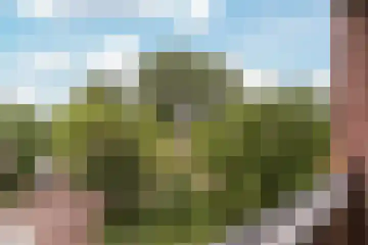 Fluitekruidweg 85 Zaandam thumbnail 22