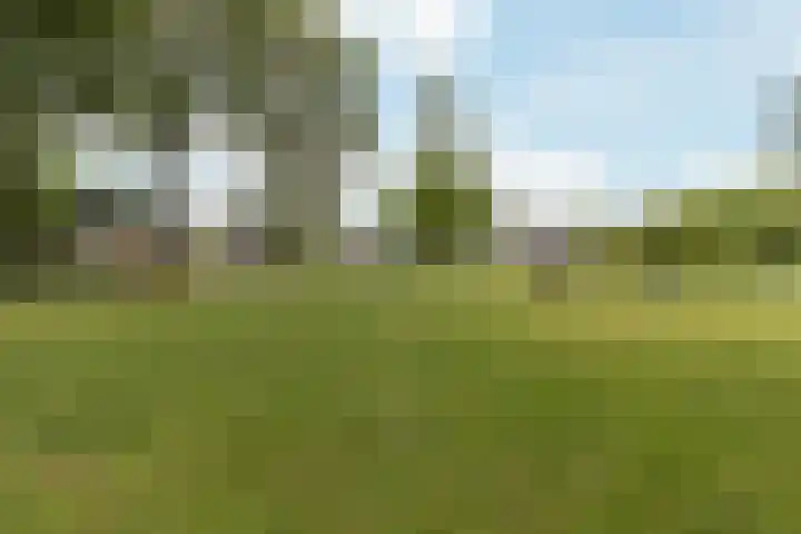 Fluitekruidweg 85 Zaandam thumbnail 23