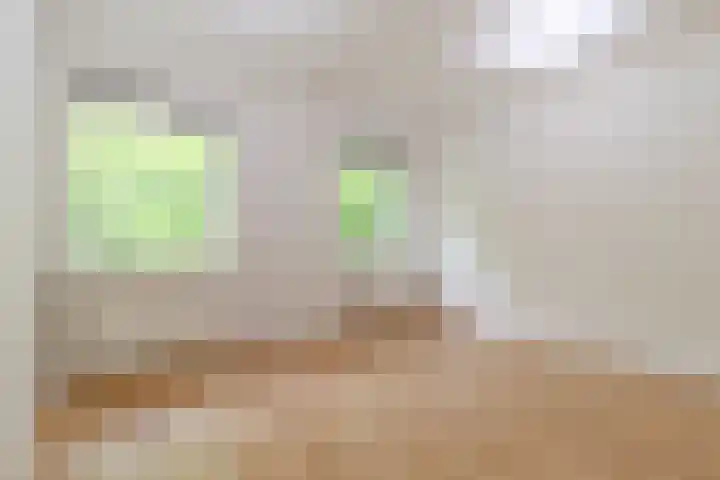 Fluitekruidweg 85 Zaandam thumbnail 9