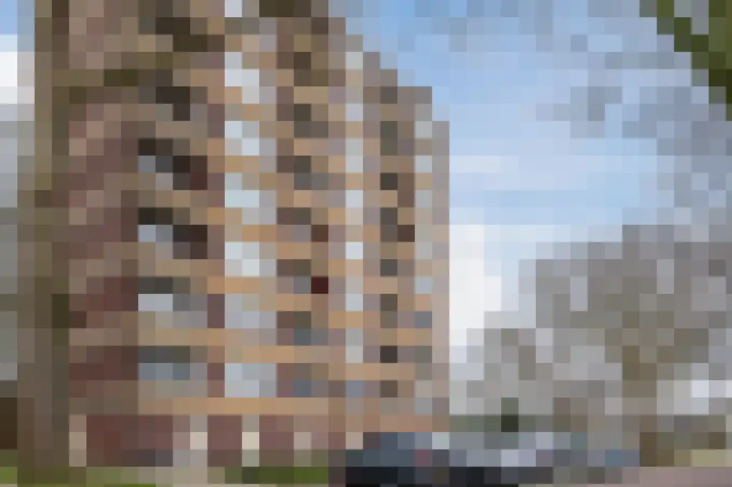 Fluitekruidweg 97 Zaandam thumbnail 25