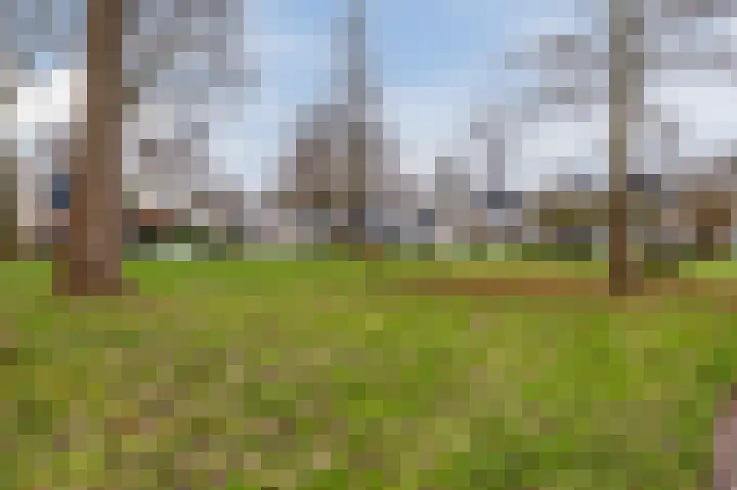 Fluitekruidweg 97 Zaandam thumbnail 4