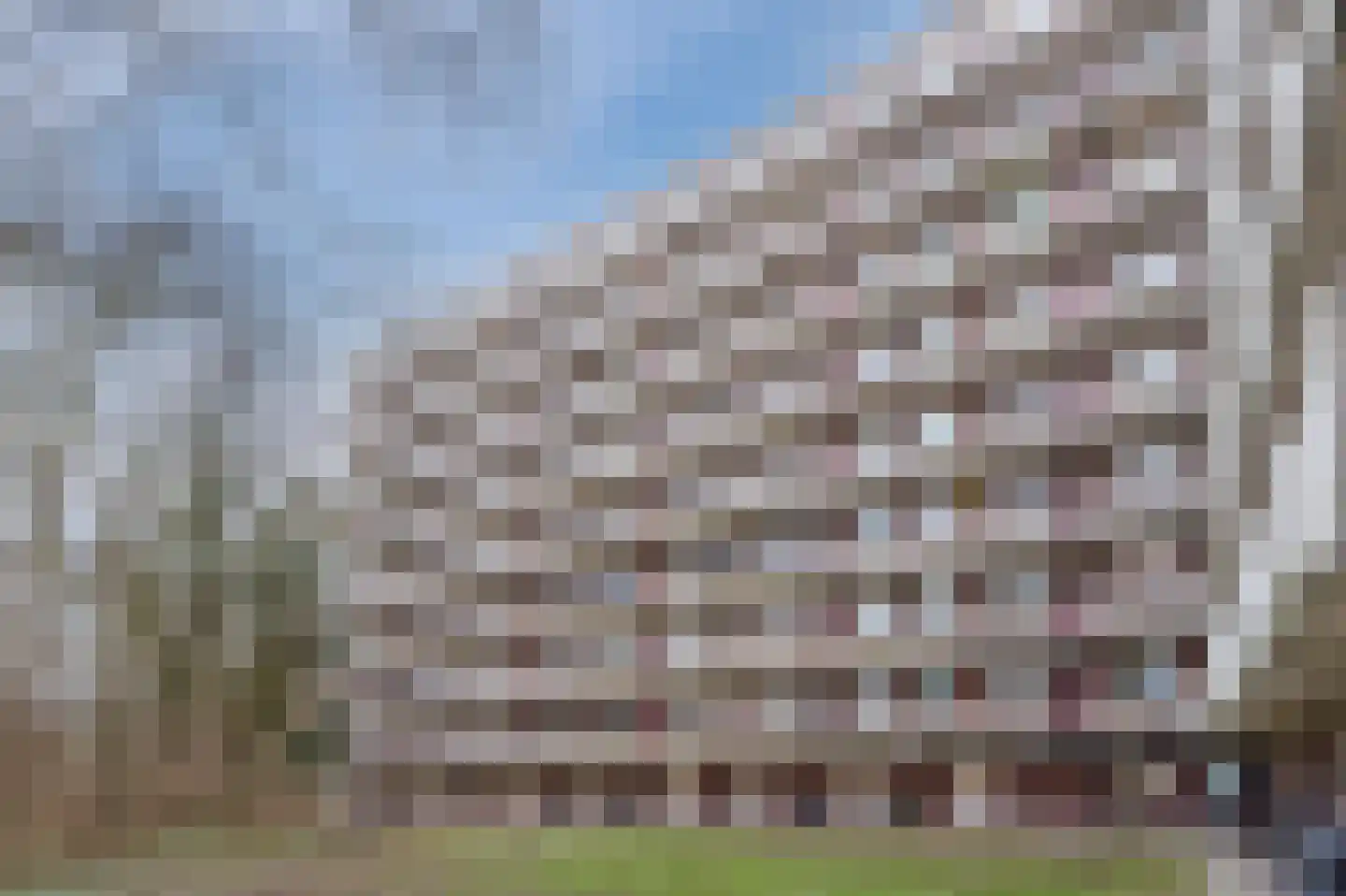 Fluitekruidweg 97 Zaandam thumbnail 6