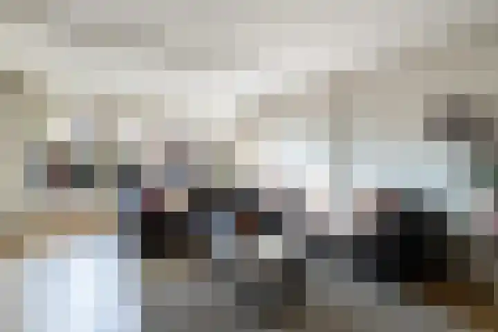 Fluitekruidweide 33 Woerden thumbnail 10