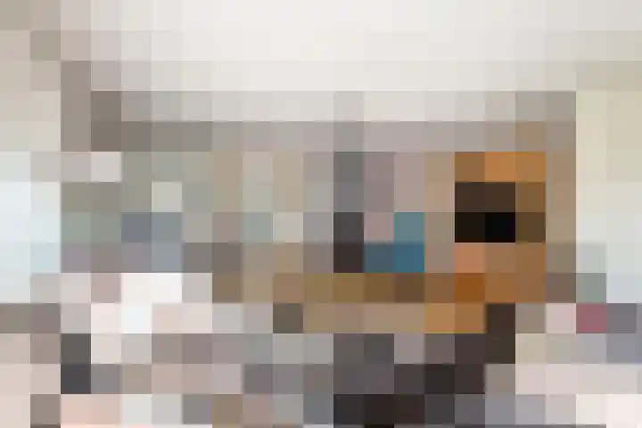 Fluitekruidweide 33 Woerden thumbnail 14