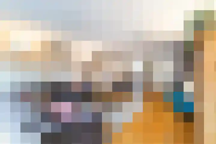 Fluitekruidweide 33 Woerden thumbnail 17
