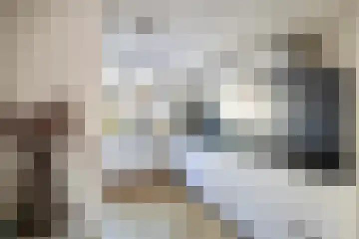 Fluitekruidweide 33 Woerden thumbnail 20