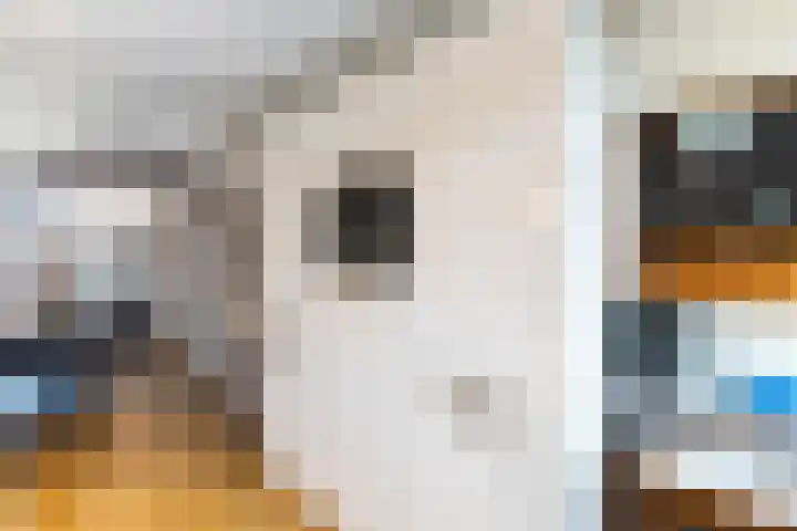 Fluitekruidweide 33 Woerden thumbnail 23