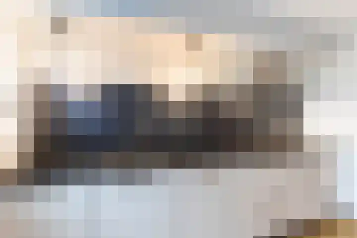 Fluitekruidweide 33 Woerden thumbnail 26