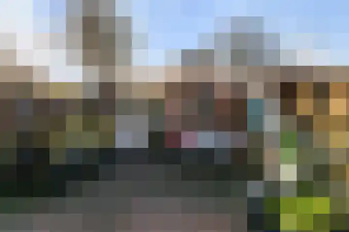 Fluitekruidweide 33 Woerden thumbnail 30