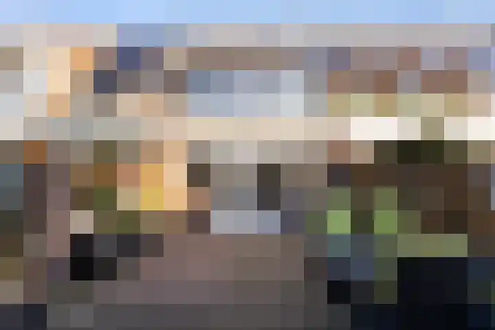 Fluitekruidweide 33 Woerden thumbnail 33