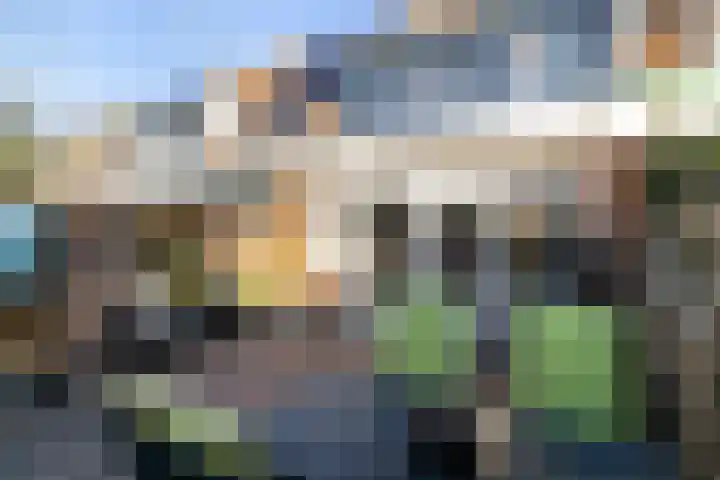Fluitekruidweide 33 Woerden thumbnail 34