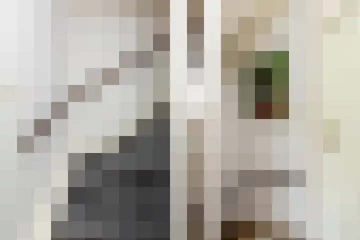 Fluitekruidweide 33 Woerden thumbnail 35