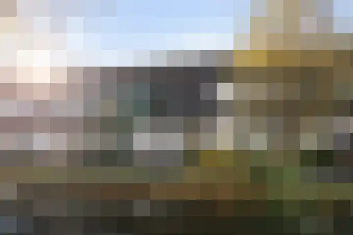 Fluitekruidweide 33 Woerden thumbnail 4
